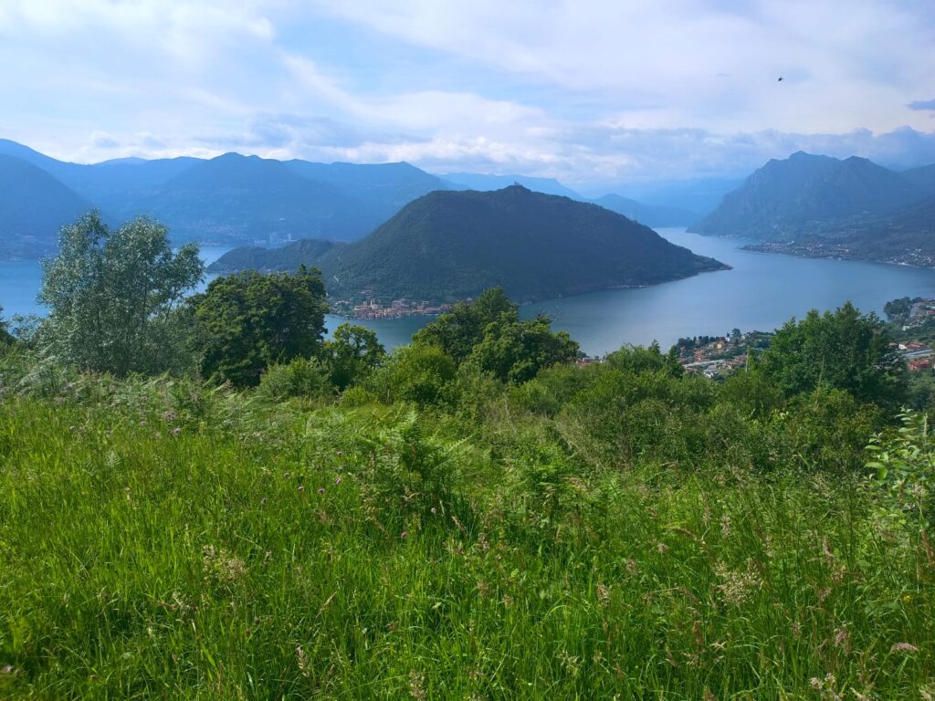TERRENO AGRICOLO VISTA LAGO